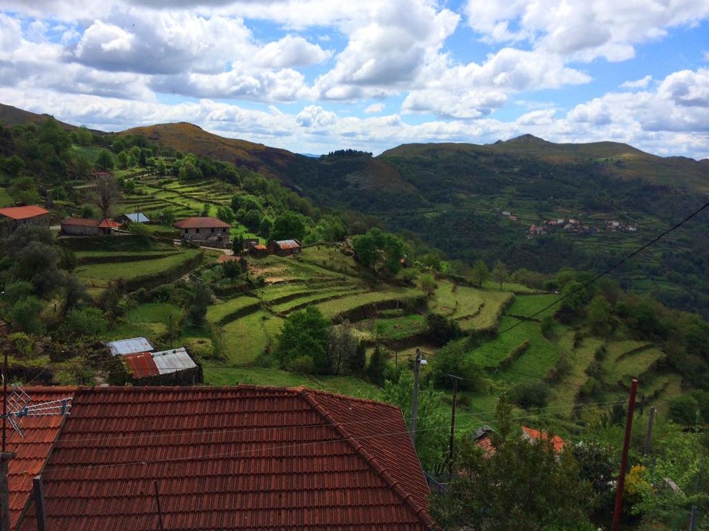 فيلا Casa Do Ramiscal - Eido Do Pomar سيستلو المظهر الخارجي الصورة